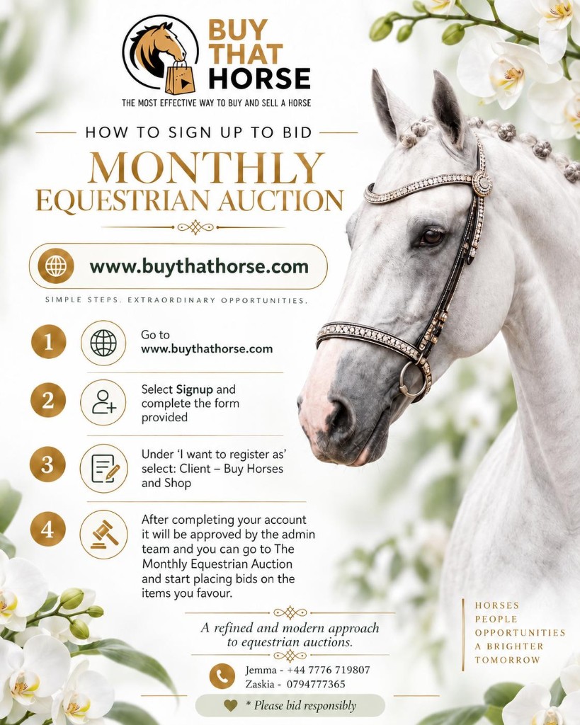 How to sign up to bid on the Monthly Equestrian Auction