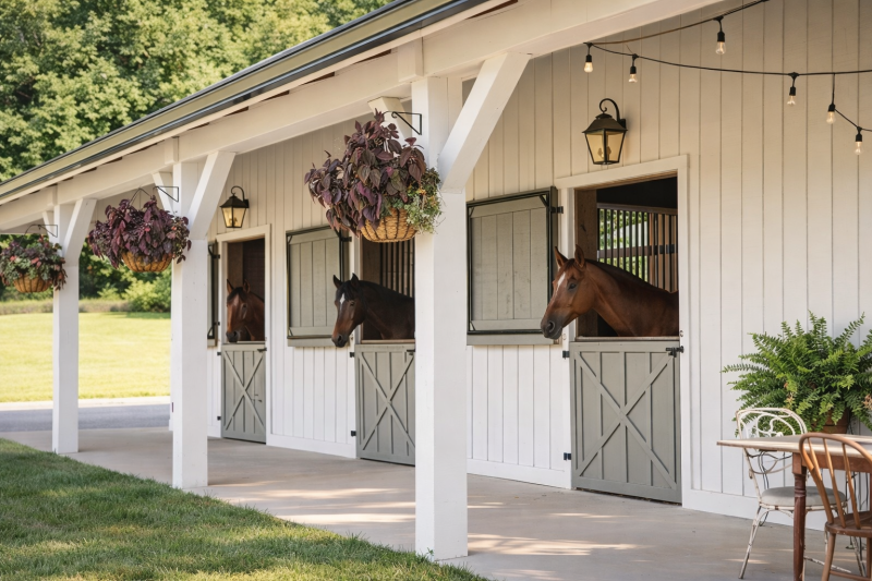 Equestrian Properties