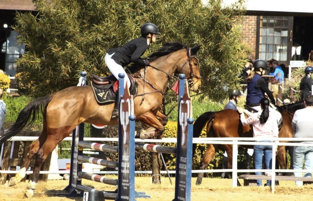 Excuse Me — Thoroughbred