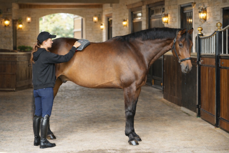 Equestrian Opportunities