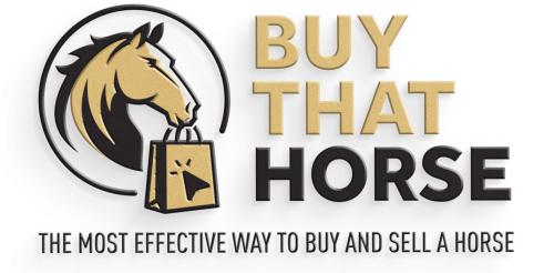 Buy That Horse